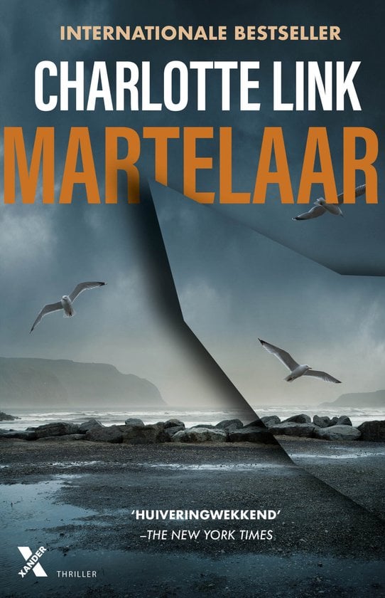 Strand, op een grauwe dag. Stuk scherf en meeuwen.